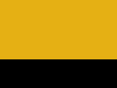 Sport Yellow/Black