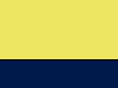 Hi-Vis Yellow/Navy